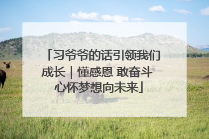习爷爷的话引领我们成长｜懂感恩 敢奋斗 心怀梦想向未来
