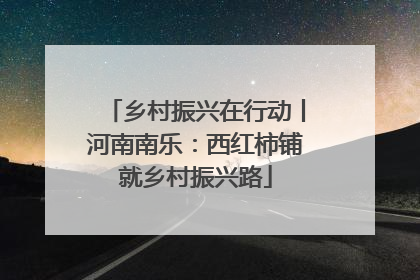乡村振兴在行动丨河南南乐：西红柿铺就乡村振兴路
