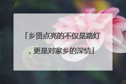 乡贤点亮的不仅是路灯，更是对家乡的深情