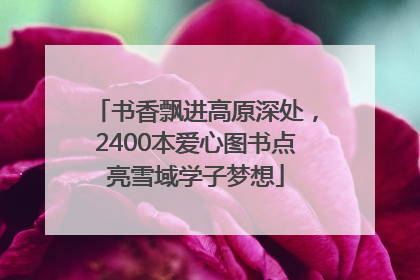 书香飘进高原深处，2400本爱心图书点亮雪域学子梦想