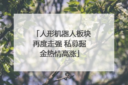 人形机器人板块再度走强 私募掘金热情高涨