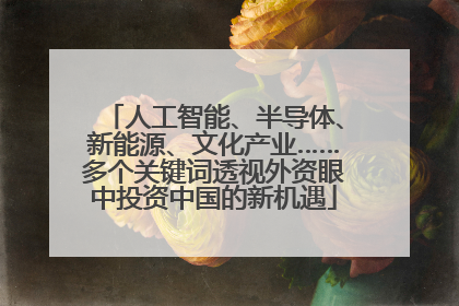 人工智能、半导体、新能源、文化产业……多个关键词透视外资眼中投资中国的新机遇