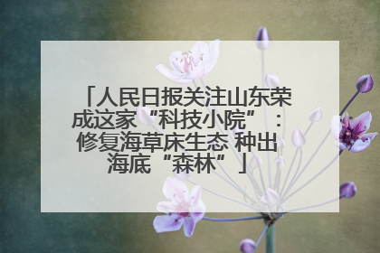 人民日报关注山东荣成这家“科技小院”：修复海草床生态 种出海底“森林”