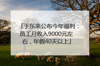 于东来公布今年福利：员工月收入9000元左右，年假40天以上