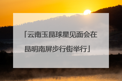 云南玉昆球星见面会在昆明南屏步行街举行