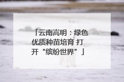 云南嵩明：绿色优质种苗培育 打开“缤纷世界”