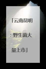 云南昆明：野生菌大量上市