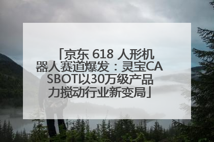 京东 618 人形机器人赛道爆发：灵宝CASBOT以30万级产品力搅动行业新变局