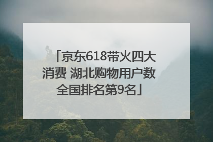 京东618带火四大消费 湖北购物用户数全国排名第9名