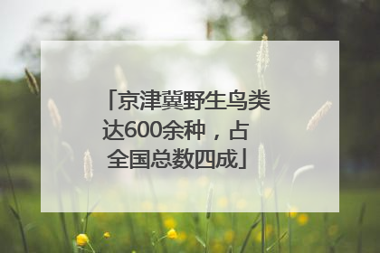 京津冀野生鸟类达600余种，占全国总数四成