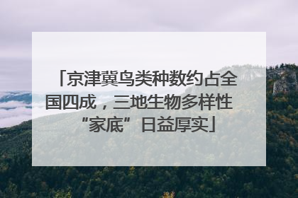 京津冀鸟类种数约占全国四成，三地生物多样性“家底”日益厚实