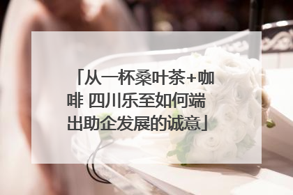 从一杯桑叶茶+咖啡 四川乐至如何端出助企发展的诚意