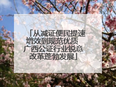 从减证便民提速增效到规范优质 广西公证行业锐意改革蓬勃发展