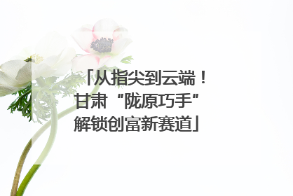 从指尖到云端！甘肃“陇原巧手”解锁创富新赛道