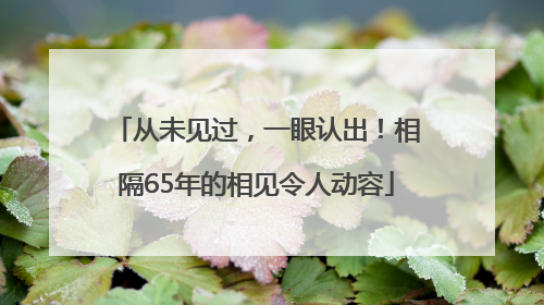从未见过，一眼认出！相隔65年的相见令人动容