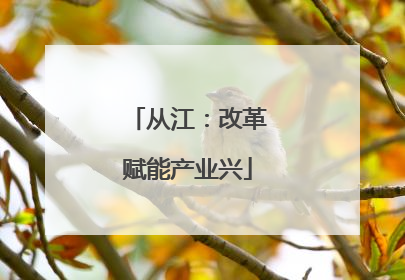 从江：改革赋能产业兴