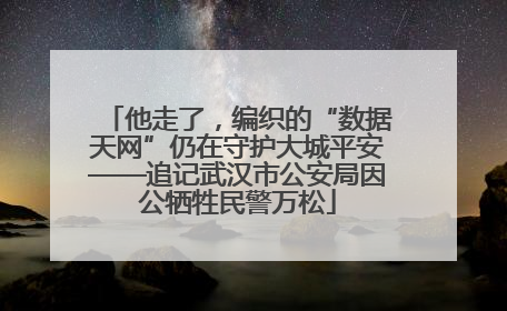 他走了，编织的“数据天网”仍在守护大城平安——追记武汉市公安局因公牺牲民警万松