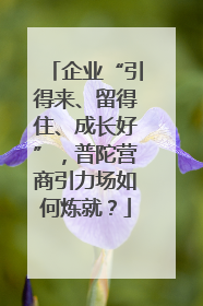 企业“引得来、留得住、成长好”，普陀营商引力场如何炼就？