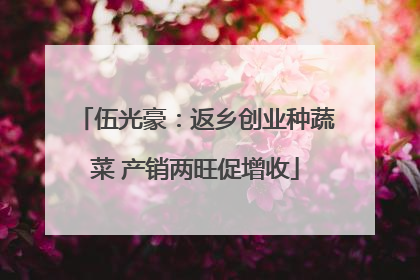 伍光豪：返乡创业种蔬菜 产销两旺促增收