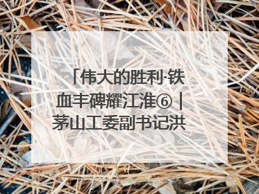 伟大的胜利·铁血丰碑耀江淮⑥｜茅山工委副书记洪天诚的亲笔信