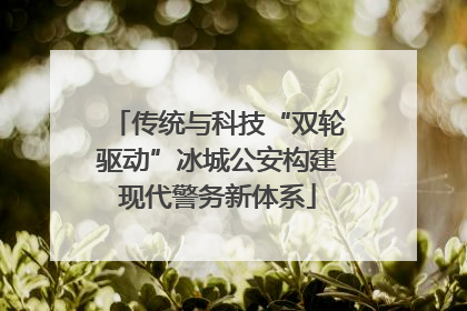 传统与科技“双轮驱动”冰城公安构建现代警务新体系