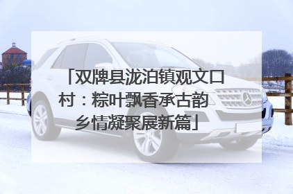 双牌县泷泊镇观文口村：粽叶飘香承古韵 乡情凝聚展新篇