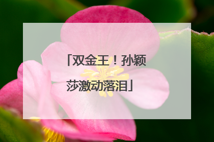 双金王！孙颖莎激动落泪