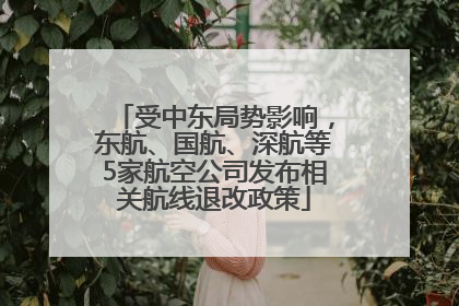 受中东局势影响，东航、国航、深航等5家航空公司发布相关航线退改政策