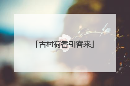 古村荷香引客来
