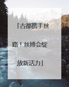 古都携手丝路！丝博会绽放新活力