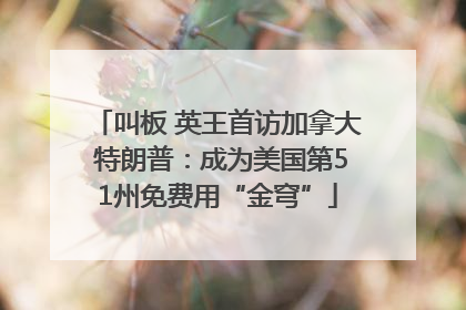 叫板 英王首访加拿大 特朗普：成为美国第51州免费用“金穹”