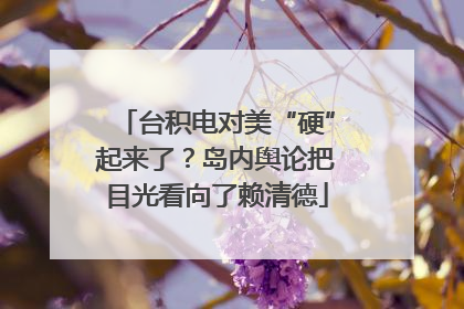 台积电对美“硬”起来了？岛内舆论把目光看向了赖清德
