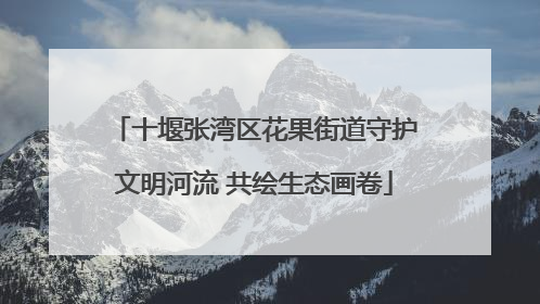 十堰张湾区花果街道守护文明河流 共绘生态画卷