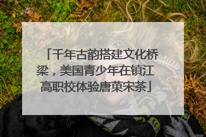 千年古韵搭建文化桥梁，美国青少年在镇江高职校体验唐菓宋茶