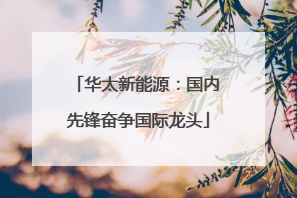 华太新能源：国内先锋奋争国际龙头