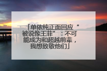 单依纯正面回应“被说像王菲”：不可能成为和超越前辈，我想致敬他们