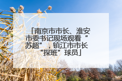 南京市市长、淮安市委书记现场观看“苏超”，镇江市市长“探班”球员