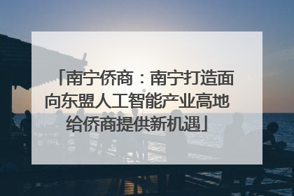 南宁侨商：南宁打造面向东盟人工智能产业高地给侨商提供新机遇