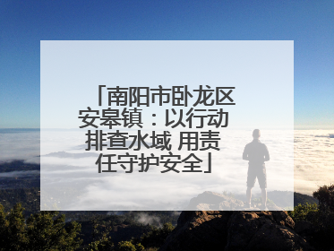 南阳市卧龙区安皋镇：以行动排查水域 用责任守护安全