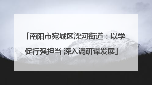 南阳市宛城区溧河街道：以学促行强担当 深入调研谋发展