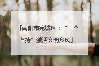 南阳市宛城区：“三个坚持”激活文明乡风