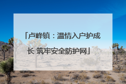 卢峰镇：温情入户护成长 筑牢安全防护网
