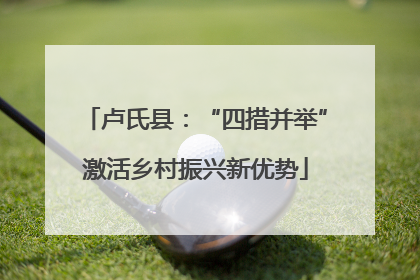 卢氏县：“四措并举”激活乡村振兴新优势