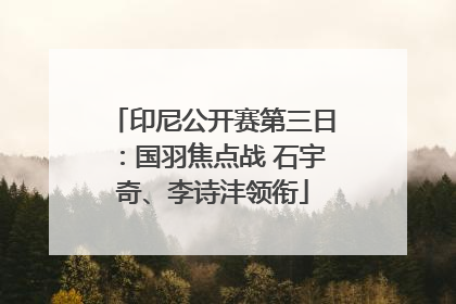 印尼公开赛第三日：国羽焦点战 石宇奇、李诗沣领衔