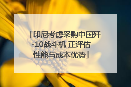 印尼考虑采购中国歼-10战斗机 正评估性能与成本优势
