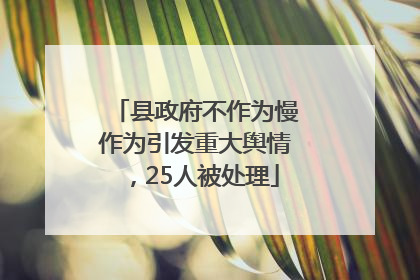 县政府不作为慢作为引发重大舆情，25人被处理