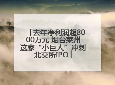 去年净利润超8000万元 烟台莱州这家“小巨人”冲刺北交所IPO