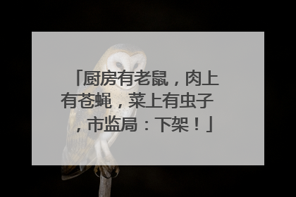 厨房有老鼠，肉上有苍蝇，菜上有虫子，市监局：下架！