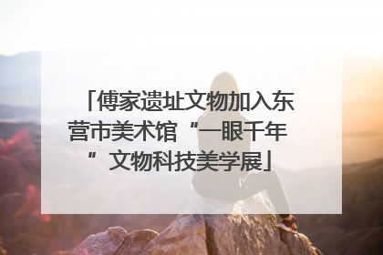 傅家遗址文物加入东营市美术馆“一眼千年”文物科技美学展