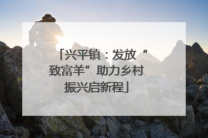 兴平镇：发放“致富羊”助力乡村振兴启新程